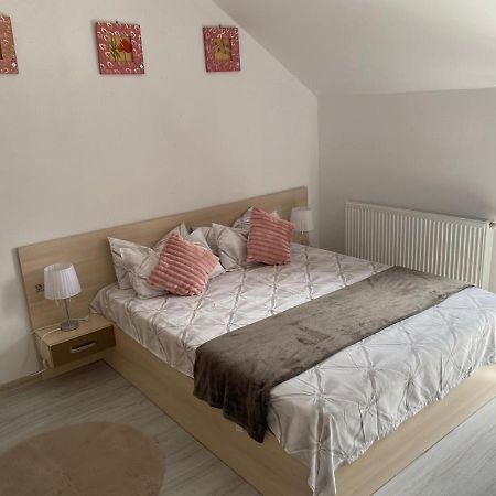 Rebeca Apartament Lugoj Luaran gambar